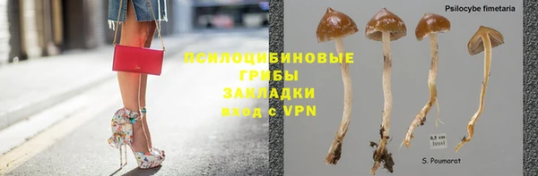 кокс Елизово