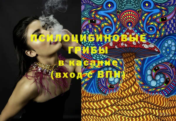 дурь Богородицк