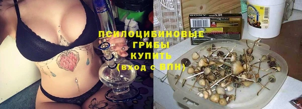 дурь Богородицк