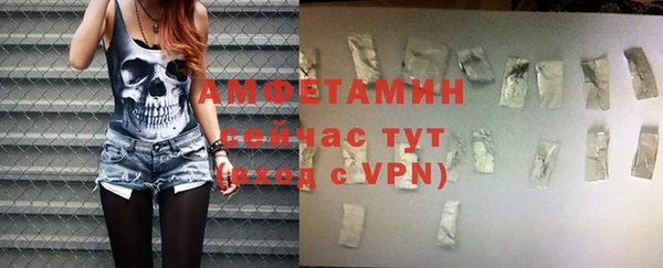 spice Богданович
